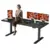 FitStand 79″ x 31″ Dual Motor Standing Desk (Black) – $225 ($45 Off)