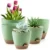 FOUKUS Self-Watering Plastic Plant Pots Set of 5 for $14.99