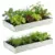 Foxlang Galvanized Raised Garden Bed (2 PCS) for $36.99