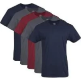 Gildan Men’s V-Neck T-Shirts 5-Pack for $14.44
