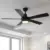 Hampton Bay Fanelee 54-Inch White Color Changing LED Smart Ceiling Fan for $139.00