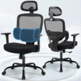 Hayelf Ergonomic Office Desk Chair with Headrest and Lumbar Support for $79.99
