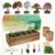 Herbsy Bonsai Tree Kit 5-Pack for $15