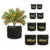 Hoikwo Black Grow Bags 8-Pack for $12.49 – Includes 3, 5, 7, and 10 Gallon Sizes