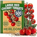 HOME GROWN Large Red Cherry Tomato Seeds – 500+ Heirloom for $5.99