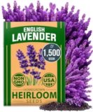 Home Grown USA Premium 1,500+ English Lavender Seeds – $4.99 (Free Vates Collard Green Seeds w/ Purchase)