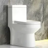 Horow 0.8/1.28 GPF Dual Flush Round Toilet with UF Seat for $198.00