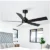 Hunter Ceiling Fans Starting at $27.99