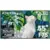 iFFALCON F75 55″ QLED 4K Smart TV with 144Hz Refresh Rate for $419.99