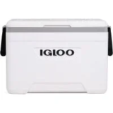 Igloo Marine 25qt Cooler with Insulated Hard Shell for $27.99