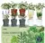 Indoor Herb Garden Kit – 33 Pieces for $19.99