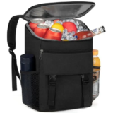 Insulated Backpack Cooler Now Only $10.99