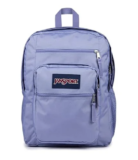 JanSport 15″ Laptop Backpack in Lavender Ash for $40.20
