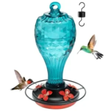 20oz Jarkyfine Hanging Glass Hummingbird Feeder for $12