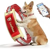 JDXSZ 22-in Wireless Electric GPS Dog Collar Fence for $161.40