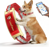 Jdxsz Wireless Electric GPS Dog Collar Fence (Red) for $161.40