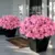 8-Bundle Juxdp 14″ Artificial Camellia Silk Flower Bouquets for $9.99