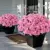 Juxdp 8 Bundles of Artificial Camellia Flowers for $9.99