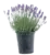 Lavender Blue Paint 2.5-Quart Pot for $14.94 at Lowe’s