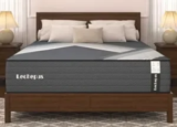 Lechepussleep 10″ Queen Mattress for $160 – Up to 55% Off Furniture Sale