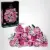 LEGO Botanicals Bouquet of Pink Roses 10374 – $47.99