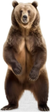 Life-Size Animal Cardboard Cutouts Starting at $13 $13.00