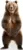 Life-Size Animal Cardboard Cutouts Starting at $13 $13.00