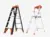 Save Up to 65% on Little Giant Ladders – Shipping $6