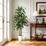 LuceAlberi 5FT Artificial Dracaena Tree for $31.49