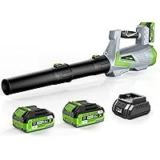 Luckytech 5-Speed Leaf Blower with 2 x 4.0Ah Batteries for $71.99