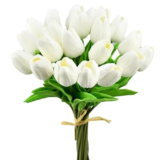 Mandy’s 20 Piece Artificial Pure White Tulips for $9.99
