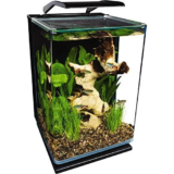 Marineland Portrait Glass LED Aquarium Kit – 5 Gallons for $59.59