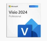 Microsoft Visio 2024 Professional Project Management Software for $32.97