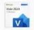 Microsoft Visio 2024 Professional Project Management Software for $32.97