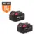 Milwaukee M18 18V Li-Ion XC 5.0 Ah Battery Pack (2-Pack) for $199.00