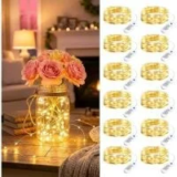 Minetom 7ft 20-LED Battery Operated Fairy Lights (12-Pack) – $4.49
