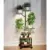 Mogaath 41″ 7-Tier Display Plant Stand with Grow Lights for $30.69