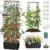 Mqjiazhi Self Watering Tomato Planter with Trellis for $20.99