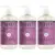 3-Pack Mrs. Meyer’s Clean Day Plum Berry Liquid Hand Soap for $9.90