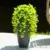 Set of 6 Nearly Natural 30″ UV Resistant Artificial Morning Glory Hanging Plants for $21
