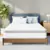 Neo Sleep 10″ Hybrid Queen Mattress (Medium Firm) – $160