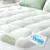 Niagara Sleep Solution Ultra Soft Queen Size Mattress Topper for $38