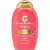 OGX Repair & Protect Bond Protein Conditioner 13oz for $2.69