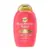 OGX Repair & Protect Bond Protein Repair Conditioner 13 oz for $3.29