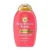 OGX Repair & Protect Bond Protein Shampoo 13oz for $5.82
