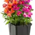 Home Depot Spring Deals Sale – Save Up to 50% on Appliances, Tools, and More