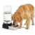 PAKEWAY 2.3 Gallon Automatic Gravity Water Dispenser for Pets – $17.99