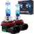 2-Pack Perpotao H11 12V 55W Halogen Headlight Bulbs for $19.49