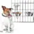 PETMAKER Set of 2 Stainless-Steel Dog Bowls (8oz Each) – $10.36