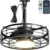 Phylluz 16″ Outdoor Ceiling Fan Light with Remote for $59.99